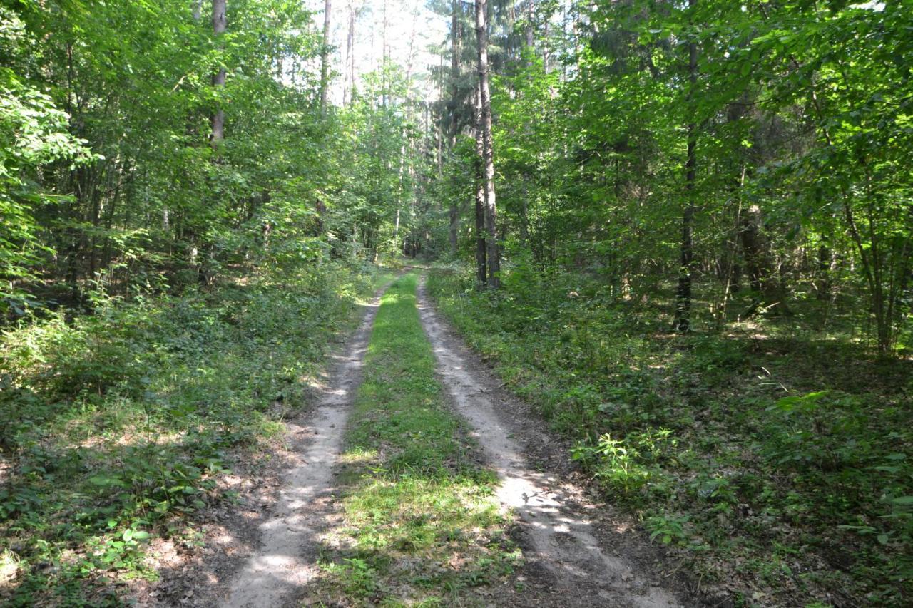 Osrodek Wypoczynkowo-Turystyczny Perla Krutyni Hotel Nowy Most Luaran gambar