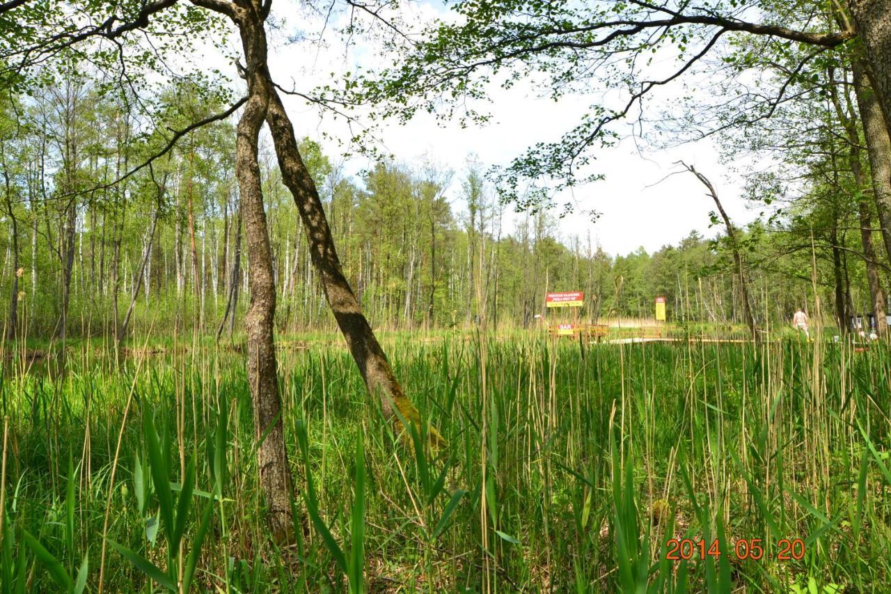 Osrodek Wypoczynkowo-Turystyczny Perla Krutyni Hotel Nowy Most Luaran gambar